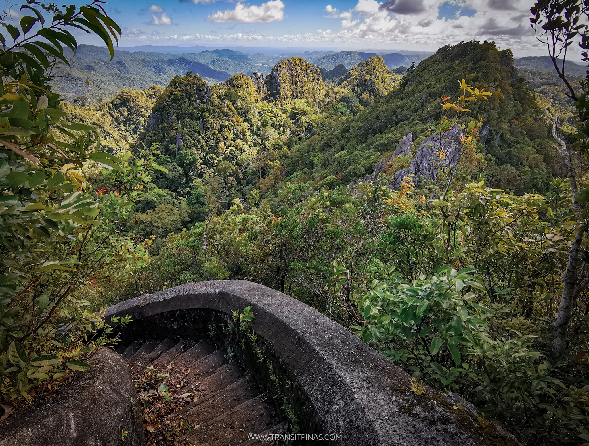 Atimonan, Quezon | Into The Overlooked Gems Of Quezon National Forest Park